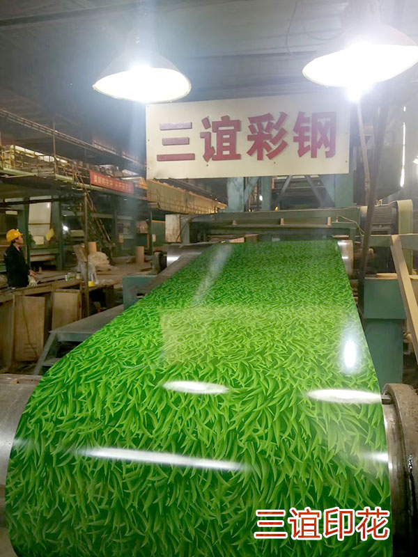 Printing Plate